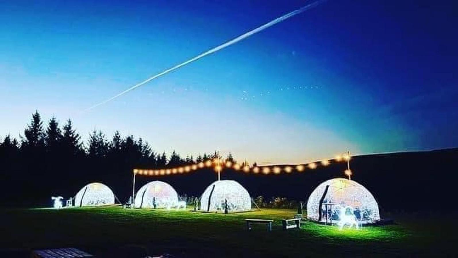 Afan Forest Retreat Cozy Getaway, Pet Friendly Cymmer Zewnętrze zdjęcie
